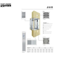 21G002-Passenger-Elevator