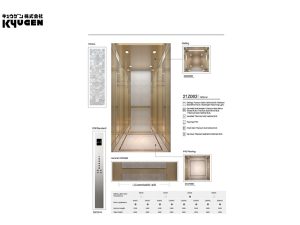 21Z063-Home-Elevator