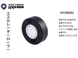 YL3807S39-HYUNDAI Escalator Roller