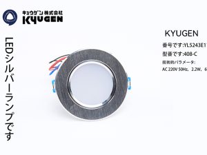 YL5243E113-KYUGEN Elevator LED Light