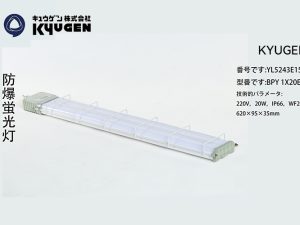YL5243E151-KYUGEN Elevator Lamp