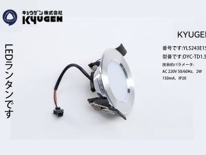YL5243E153-KYUGEN Elevator LED Light