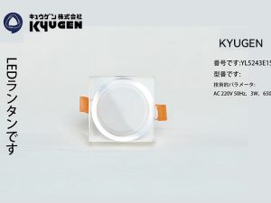YL5243E154-KYUGEN Elevator LED Light